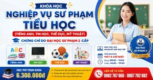 Khóa Học Nghiệp Vụ Sư Phạm Tiểu Học